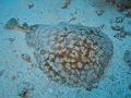 Unter_Wasser (31)